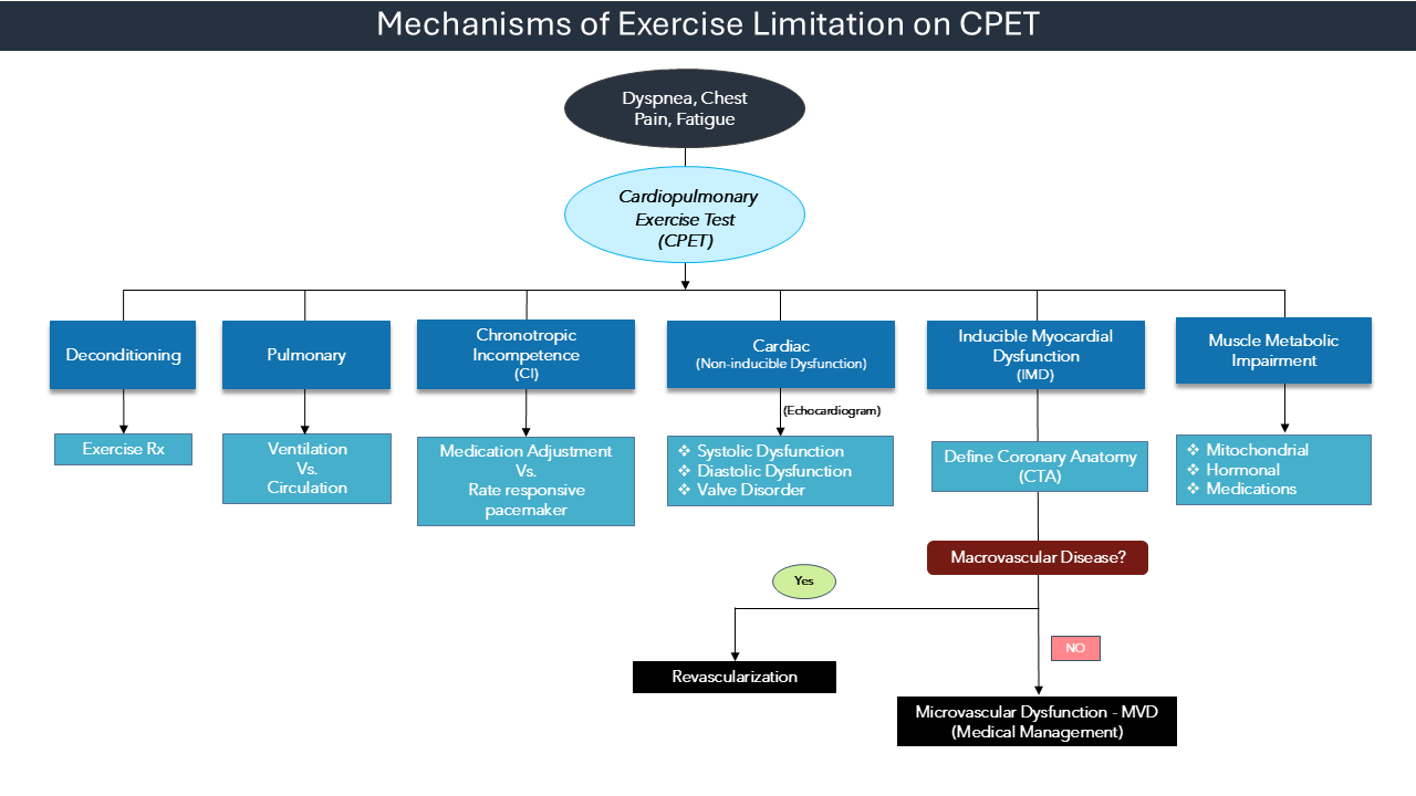 Mechanisms of Exercise Limitation - Diagnostic Workflow